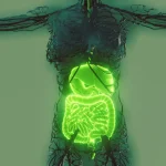 The Seven Pillars of Health: Good Digestion