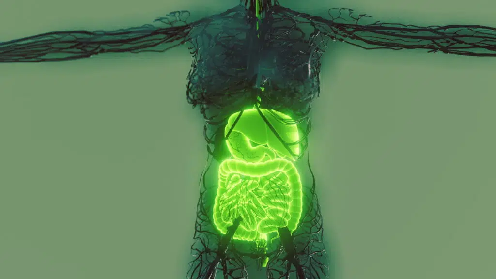 Eight Pillars of Health