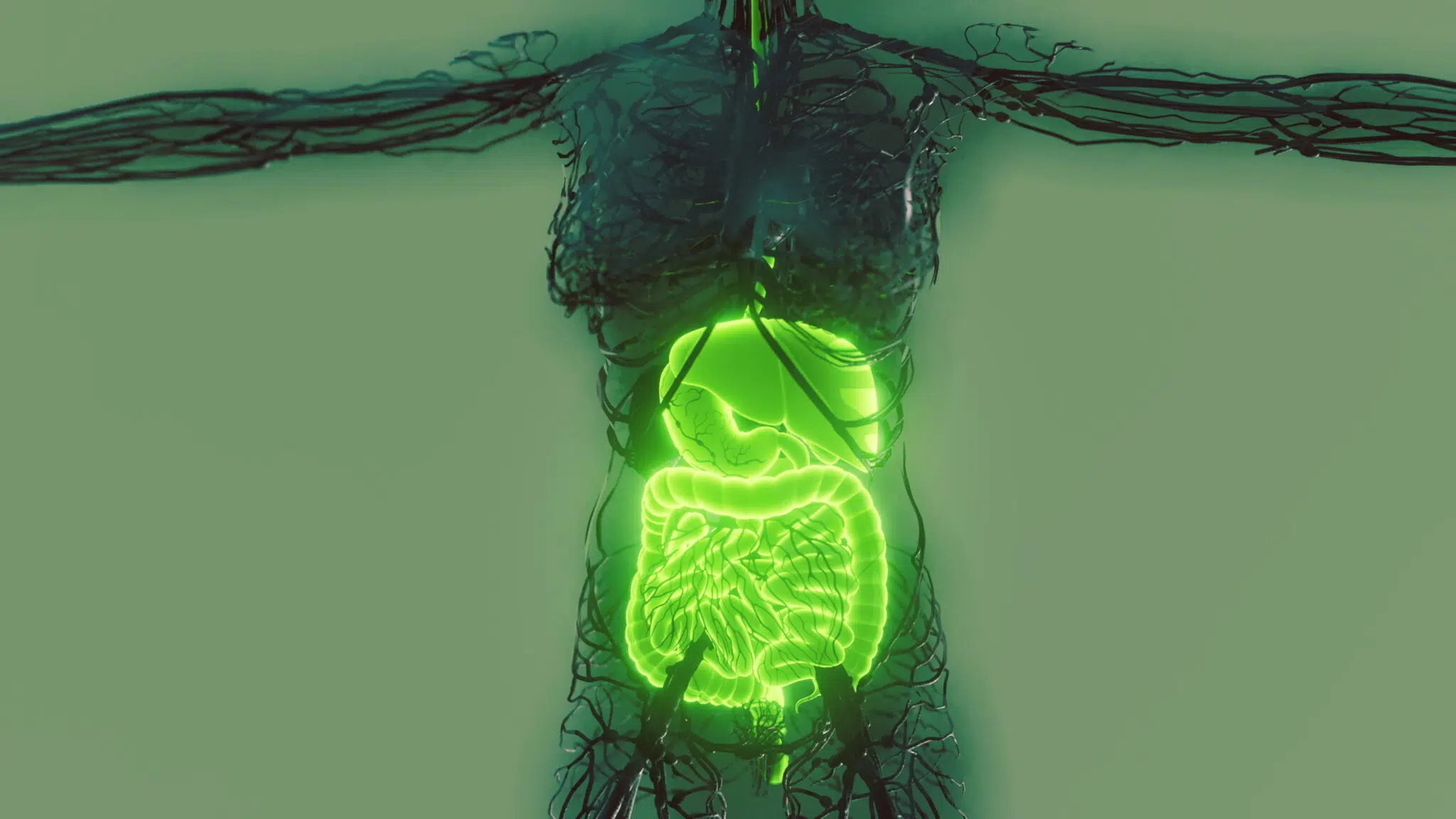 Eight Pillars of Health